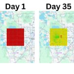From Rank 61 to Rank 5 in 35 Days: Here’s Exactly What We Did