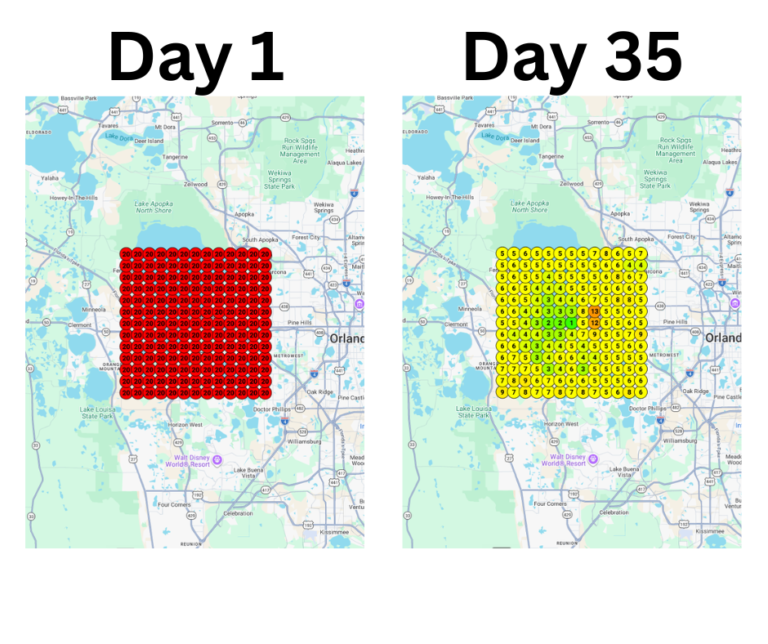 From Rank 61 to Rank 5 in 35 Days: Here’s Exactly What We Did