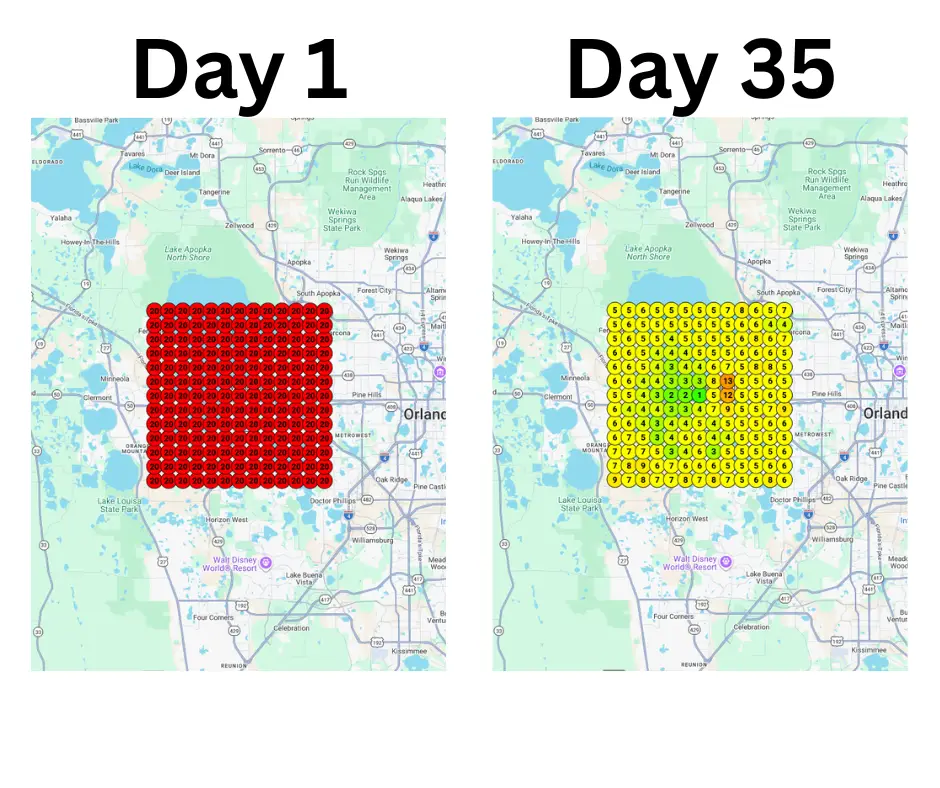From Rank 61 to Rank 5 in 35 Days: Here’s Exactly What We Did